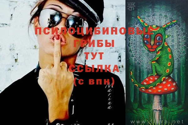 PSILOCYBIN Зеленокумск